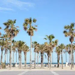 internship abroad